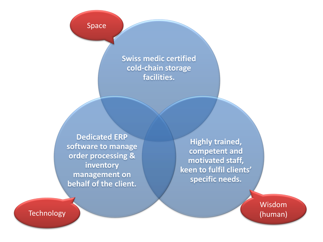 Triangular Integrated Service