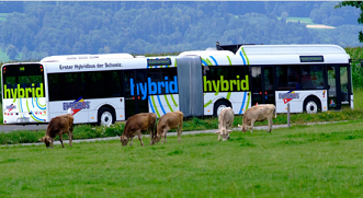 Hybrid buses reduced